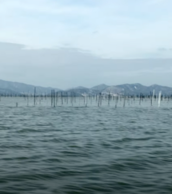 Organic Ocean Seaweed Farm in Korea