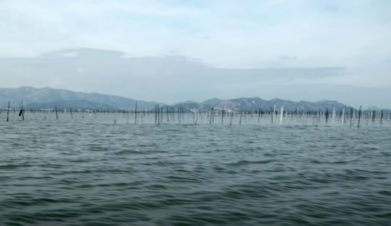 Organic Ocean Seaweed Farm in Korea
